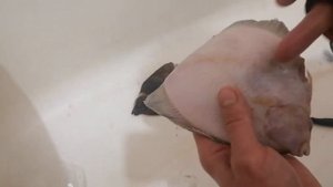 ЛайвХак. Как почистить Камбалу