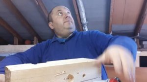 Наладонный пневмо нейлер " Pegas". Ручной гвоздезабиватель Пегас