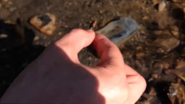 Как живёт Ручейник.