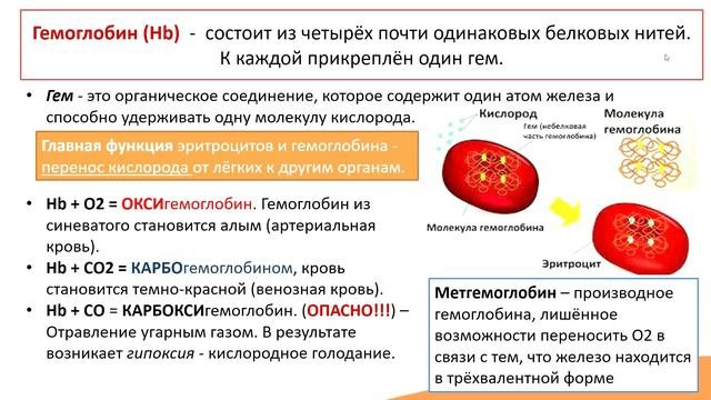 Эритроциты