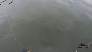 Ловля ОКУНЯ на ВОБЛЕРЫ ! Поиск и тактика ловли ОКУНЯ осенью .