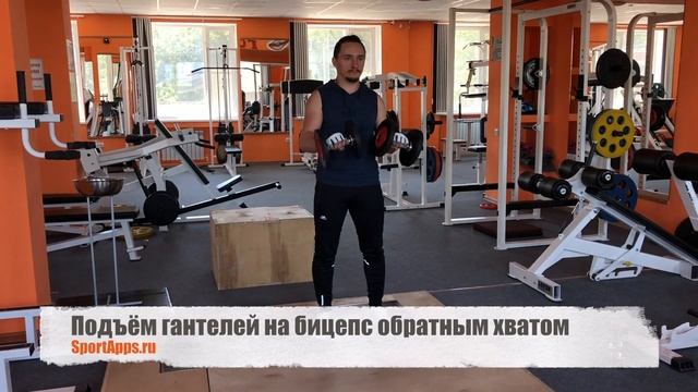 Подъём гантелей на бицепс обратным хватом смотреть онлайн