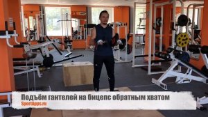 Подъём гантелей на бицепс обратным хватом