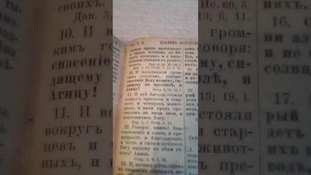 СПАСЕННЫЕ ОТ ВЕЛИКОЙ СКОРБИ ....? смотреть онлайн