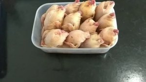 ВАКУУМНЫЙ УПАКОВЩИК  VS6621     Обзор Часть 1