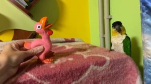 Каик и птичка-пищалка )