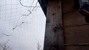 ВЕНТИЛЯЦИЯ ДЛЯ КУРЯТНИКА ЗАЧЕМ-VENTILATION FOR THE CHICKEN COOP WHY