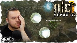 ВАРЮ БУЛЫЖНИКИ НА ЗАКАЗ  ► S.T.A.L.K.E.R. NLC 7.  Серия 87