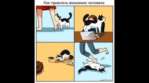 Озвучка комиксов про котов. Озвучка приколов.  Самая смешная озвучка животных!