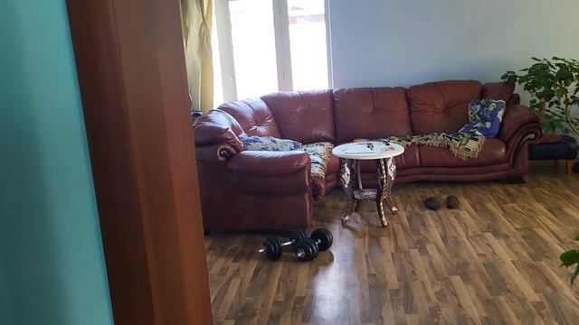 20230922_134615.mp4 смотреть онлайн