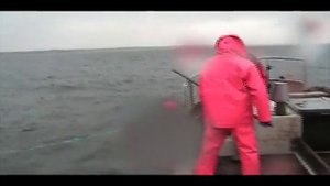 Лов судака. Мутник. Чудское озеро. (Pikeperch catching.  Peipsi Lake )