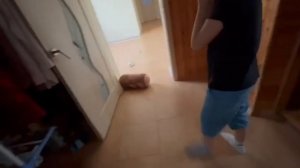 Мудрый Дуб 2,часть 3