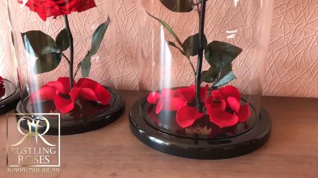Роза в колбе Оптом и в Розницу