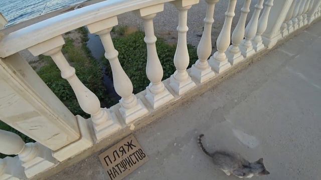 КОКТЕБЕЛЬ 2019! ТУТ ОТДЫХАЮТ ПО ВЗРОСЛОМУ - ЗАПУСКАЕМ КВАДРОКОПТЕР с КАТАМАРАНА НА ПЛЯЖ