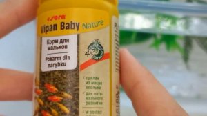 ЧЕМ КОРМИТЬ МАЛЬКОВ ГУППИ?? #рыбки #fish_world