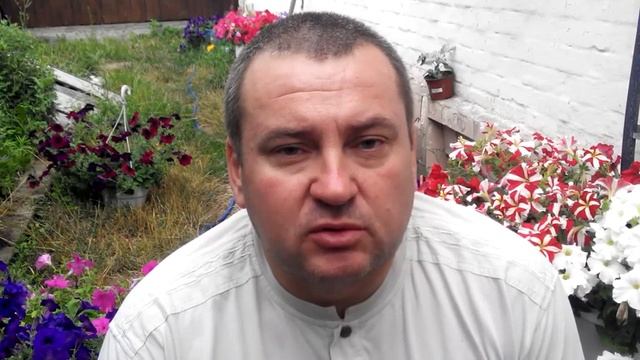 Чеснок очень важно хорошо высушить. Проветриваемое и сухое помещение идеальное место для сушки. смотреть онлайн