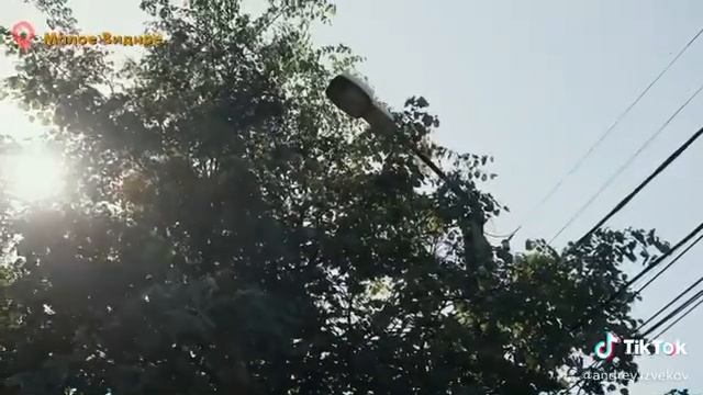 Малое Видное