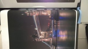 HP DesignJet 510 Custom Canvas Print