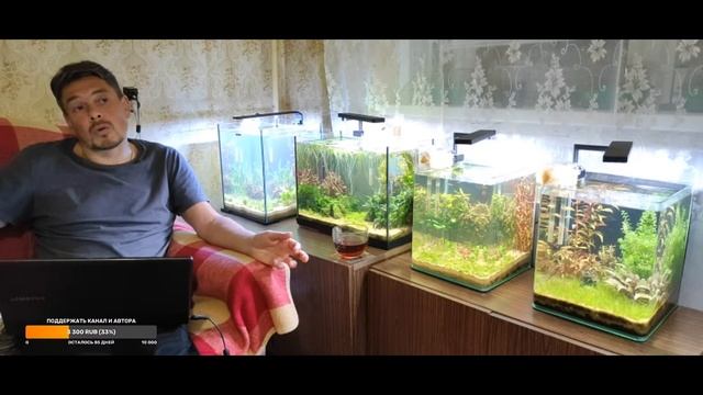 Какие удобрения использую в своих аквариумах.
