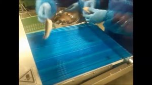 Шкуросъемная машина для рыбы NOCK / Германия, модель - Freeze Drum Skinner TFE 350