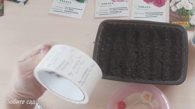 Посев ЭУСТОМЫ. смотреть онлайн