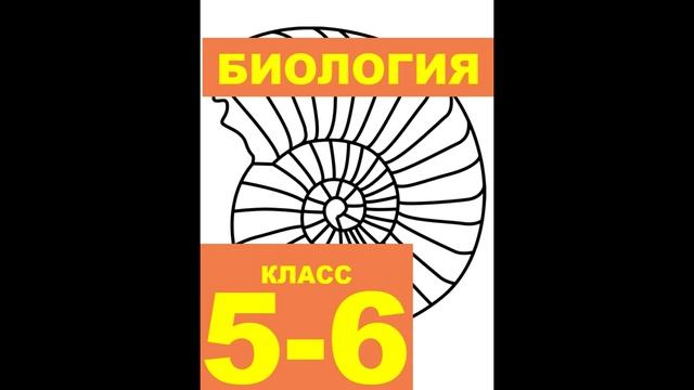 § 11 Роль бактерий в природе и жизни живых организмов: виды бактерий