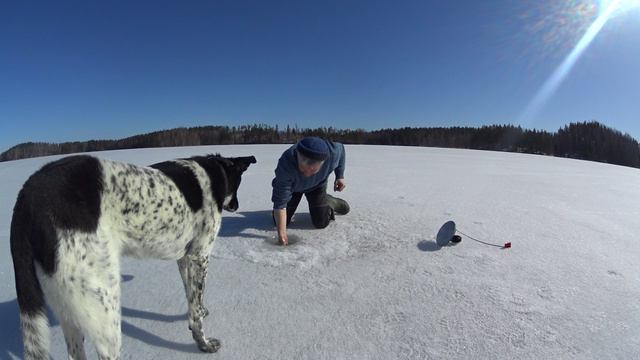 Закрытие зимнего сезона.