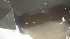 Установка для мойки рыбы барабанного типа