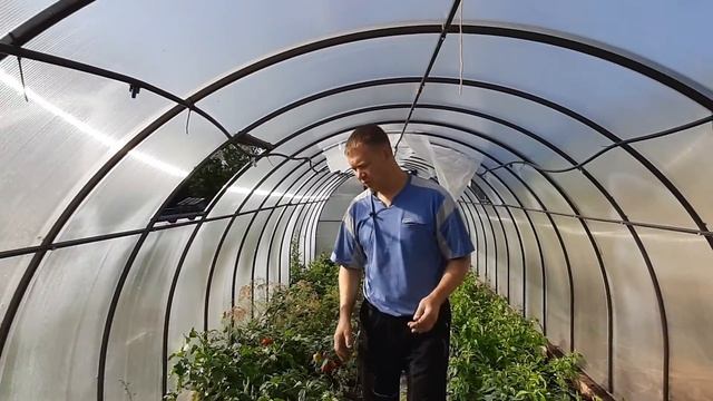 РЕШИЛ ПОСТАВИТЬ ТЕПЛИЦУ? НЕ ДОПУСТИ МОИХ ОШИБОК !!! смотреть онлайн