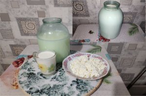 Творог из настоящего коровьего молока. Рецепт настоящего домашнего творога.