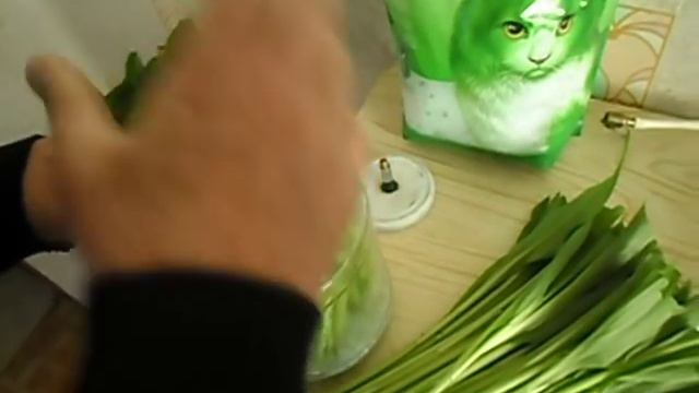 Как сохранить свежей колбу или черемшу длительное время. смотреть онлайн