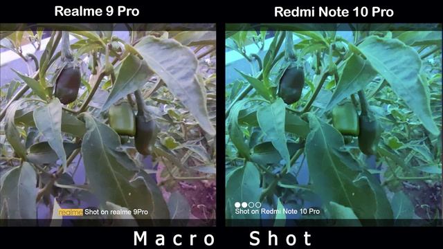 Realme 9 Pro vs Redmi Note 10 Pro | Camera Comparison | Camera Test | | Tech Song | смотреть онлайн
