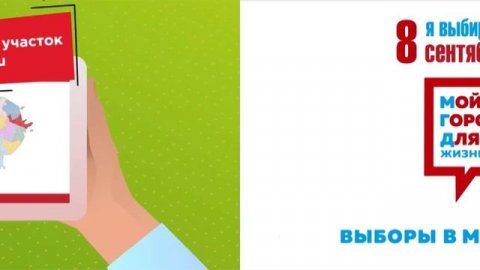 Порядок голосования Мосгордума