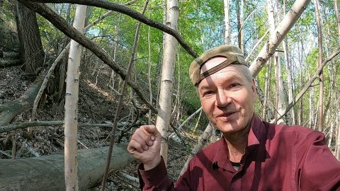 Поиск с помощью металлоискателя в лесу.