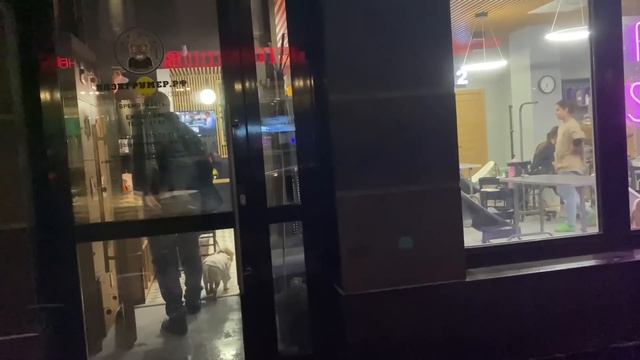 Отпуск, украшаем дом, наряжаем ёлку, наш Санкт-Петербург! смотреть онлайн