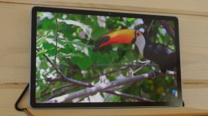 Realme Pad X - лучший среди своих конкурентов