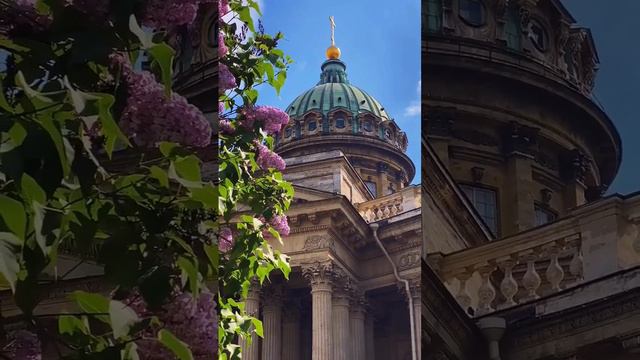 Май в Питере 🌸.            Больше классных видео на канале https://t.me/priroda_planeti