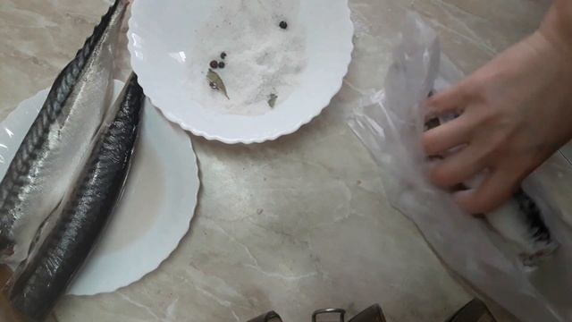 Как засолить скумбрию?