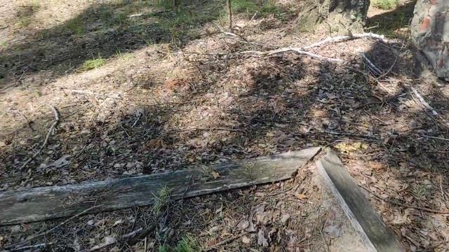 п/л "Ёлочка" июль 2021 смотреть онлайн