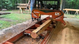 Пилим Кипарис на Американской Ленточной Пилораме Wood-Mizer LX55 | Bidun Vlog | Greenville, SC