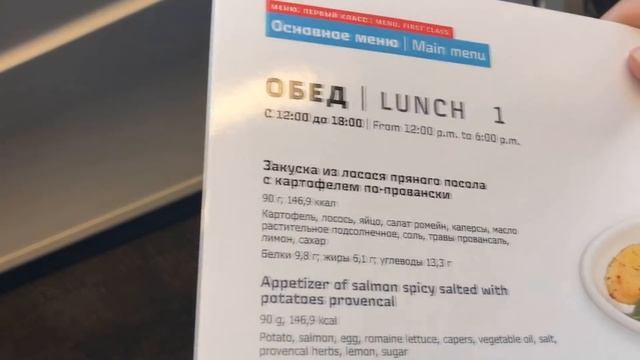 Поездом из Москвы в Питер за 4 часа. Обзор первого, бизнес и эконом класса Cапсана смотреть онлайн