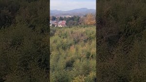 адлер ул нагорный тупик 13б видовая квартира 6 этаж вид на рощу