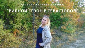 В Крым на ПМЖ: Грибной сезон в Крыму. Где искать грибы в Севастополе?