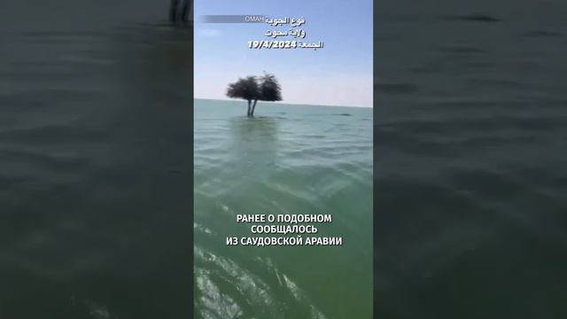 Новые озера в Омане и Аравии: почти год ливней стабилизировал водоемы / Известия