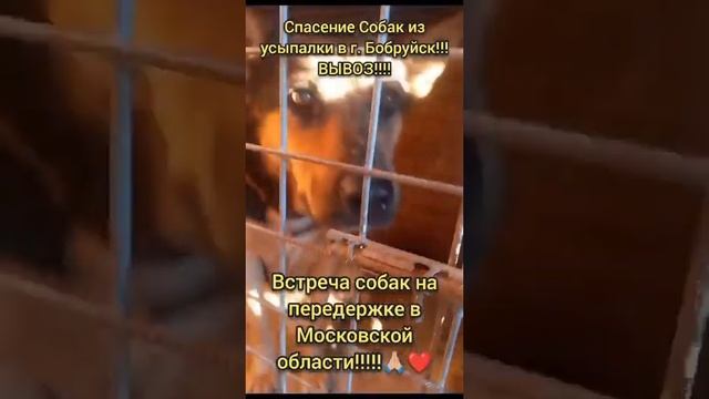 вывоз из Бобруйска состоялся❤️?