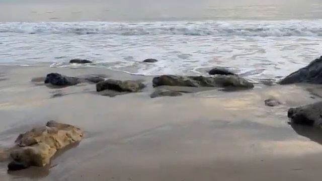 Пляж Малибу/ США смотреть онлайн