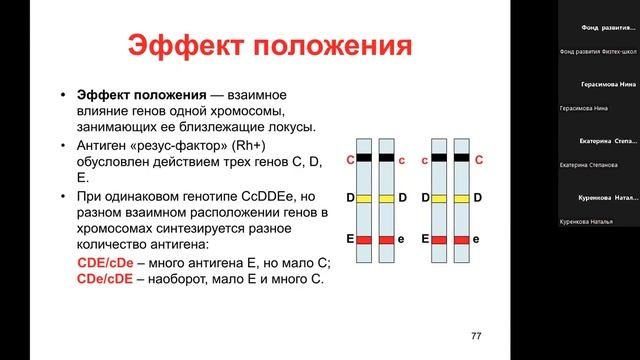Биология для учителей | ГЕНЕТИЧЕСКАЯ ИНФОРМАЦИЯ | ВЗАИМОДЕЙСТВИЕ ГЕНОВ