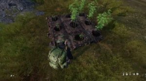 Are gardens fixed? DayZ 1.29 update