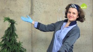 Новогодняя ёлка из лапника DIY