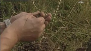 Кудеяр царь разбойников